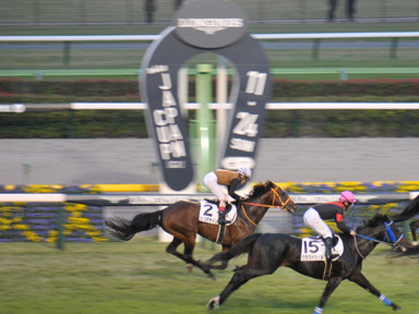 2024/11/10 東京12R