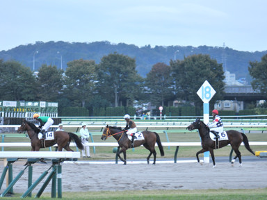 2024/11/10 東京12R