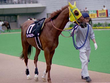 2003/06/14 東京12R