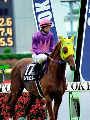 2003/06/14 東京12R