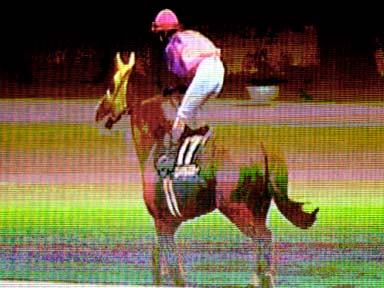 2003/06/14 東京12R