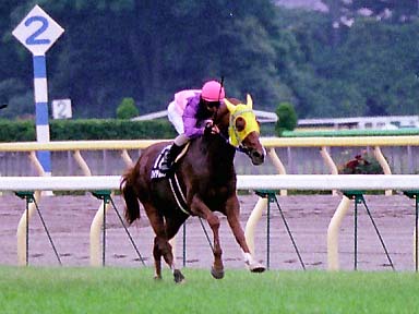 2003/06/14 東京12R