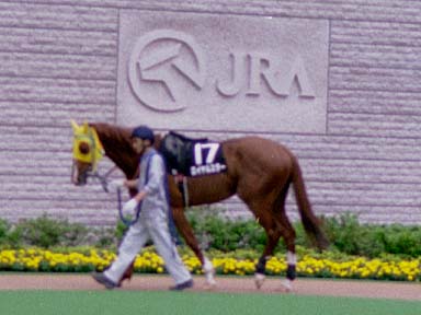 2003/06/14 東京12R