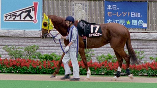 2003/06/14 東京12R