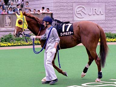 2003/06/14 東京12R