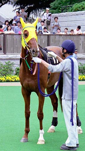 2003/06/14 東京12R