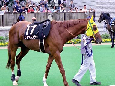 2003/06/14 東京12R