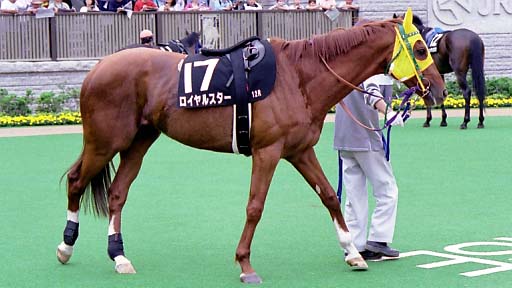 2003/06/14 東京12R