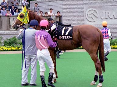 2003/06/14 東京12R