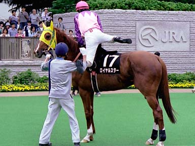2003/06/14 東京12R