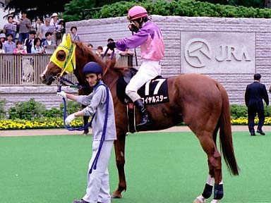 2003/06/14 東京12R