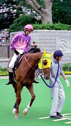 2003/06/14 東京12R