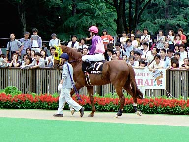 2003/06/14 東京12R