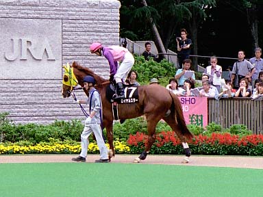 2003/06/14 東京12R