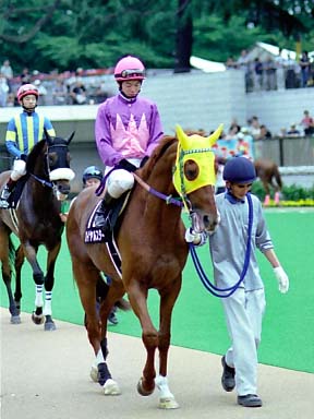 2003/06/14 東京12R