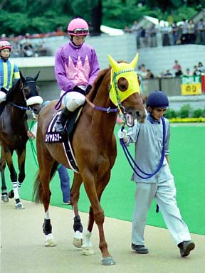 2003/06/14 東京12R