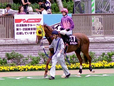 2003/06/14 東京12R
