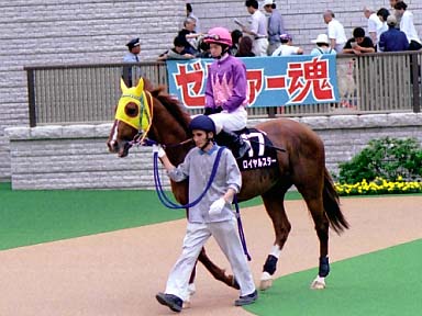 2003/06/14 東京12R