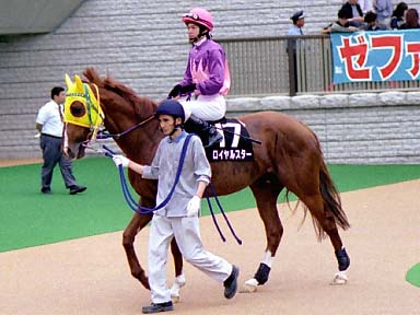 2003/06/14 東京12R