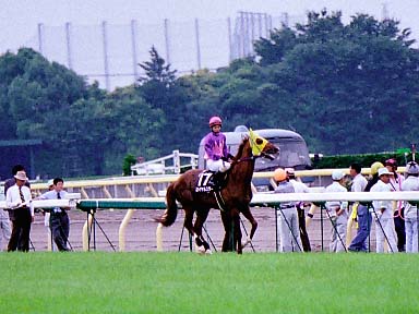2003/06/14 東京12R