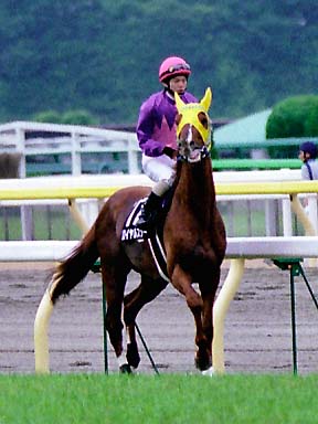 2003/06/14 東京12R