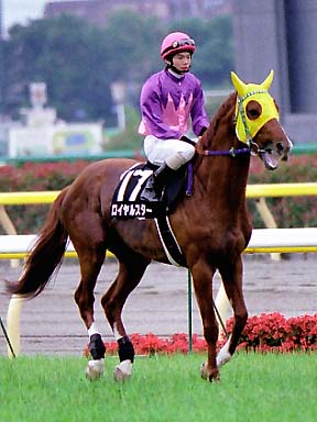 2003/06/14 東京12R
