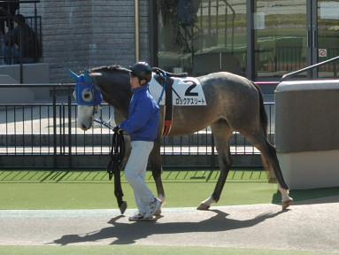 2007/02/04 東京06R