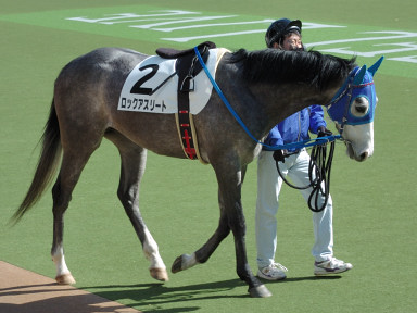 2007/02/04 東京06R