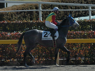 2007/02/04 東京06R