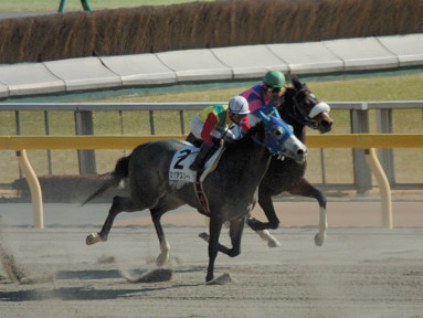 2007/02/04 東京06R