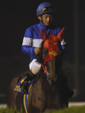 2010/08/17 大井10R