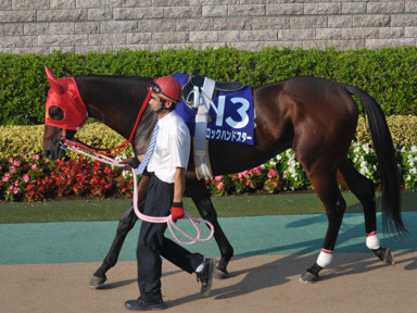 2011/10/10 東京11R