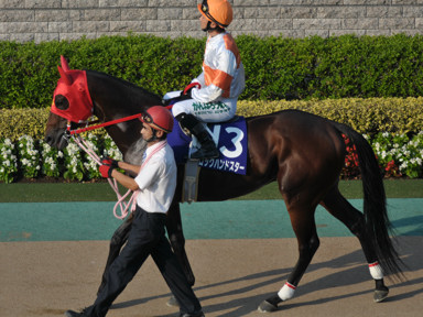 2011/10/10 東京11R