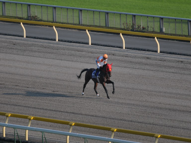 2011/10/10 東京11R