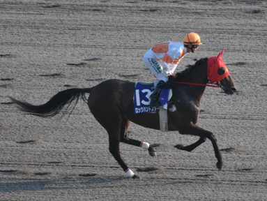 2011/10/10 東京11R