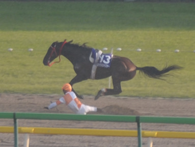 2011/10/10 東京11R