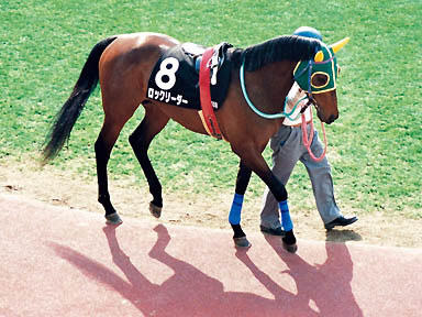 1998/03/14 中山10R