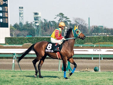 1998/03/14 中山10R
