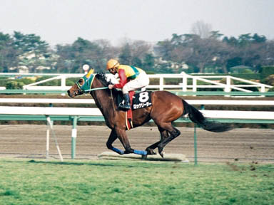 1998/03/14 中山10R