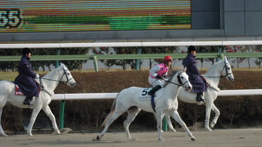 2008/01/20 中山08R