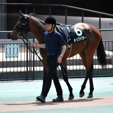 2025/05/04 東京09R