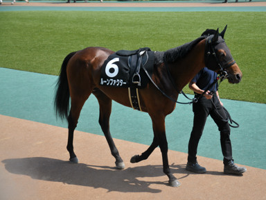 2025/05/04 東京09R