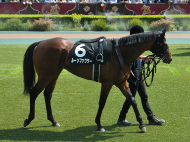 2025/05/04 東京09R
