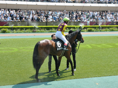 2025/05/04 東京09R