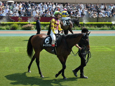 2025/05/04 東京09R