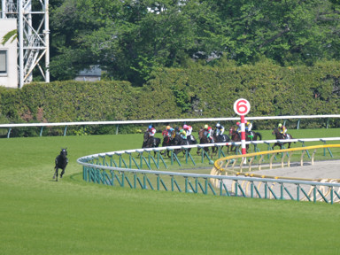 2025/05/04 東京09R