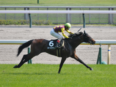 2025/05/04 東京09R