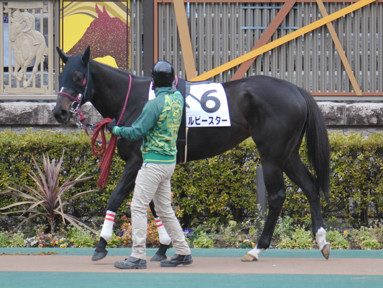 2022/02/06 東京07R
