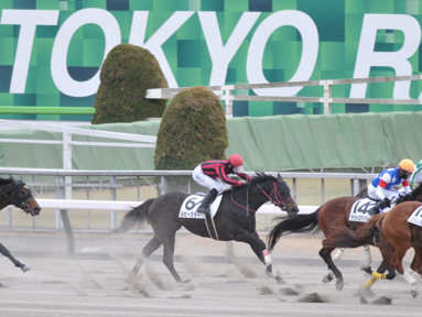 2022/02/06 東京07R