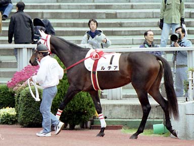 2001/11/18 東京04R